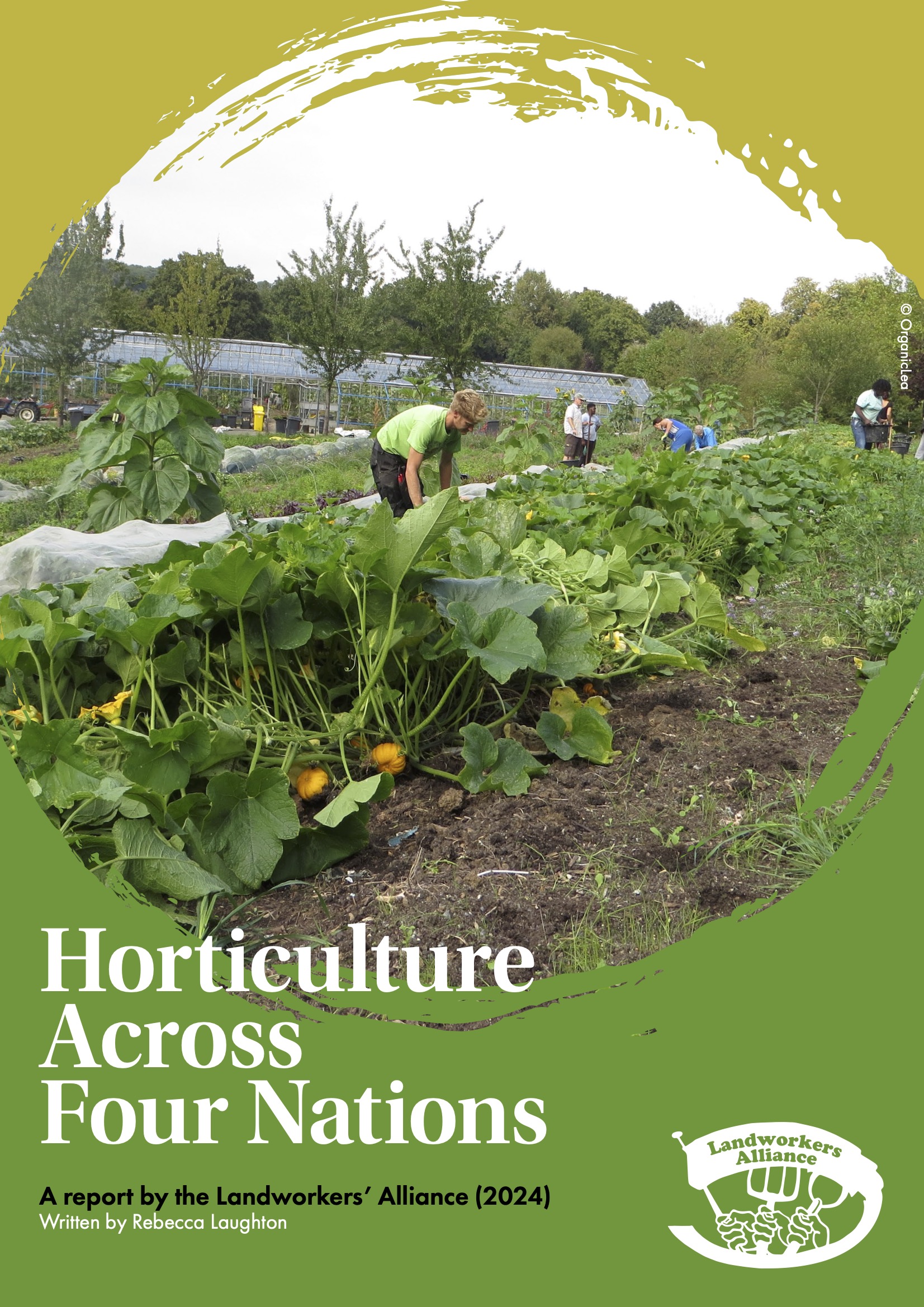 NEW REPORT: Horticulture Across Four Nations - Landworkers Alliance