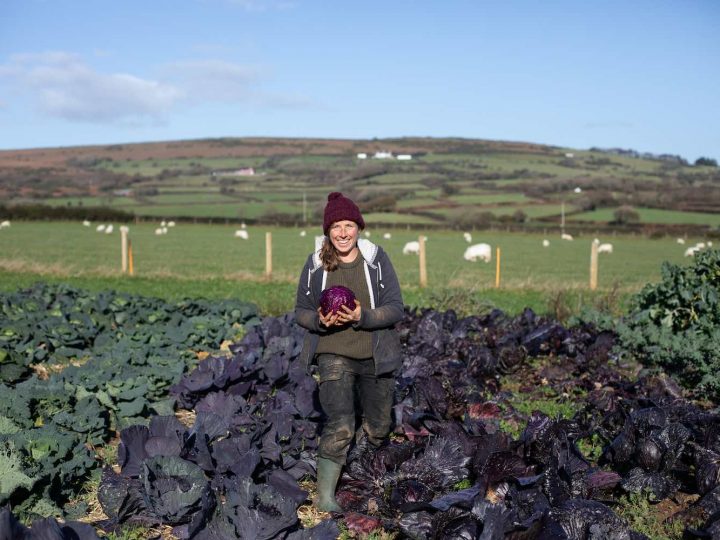 Meet Our Members: Abbi Mason, Big Meadow CSA