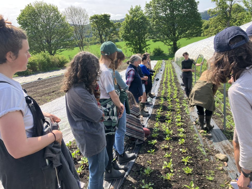 Tomnah'a Market Garden (CREDIT: Clem Sandison)