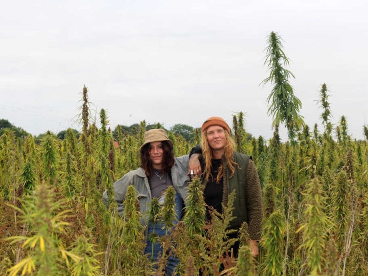 “Being out in fields of hemp is hopeful” – The problem and the promise of growing hemp with Sophia from Hempen Organic.
