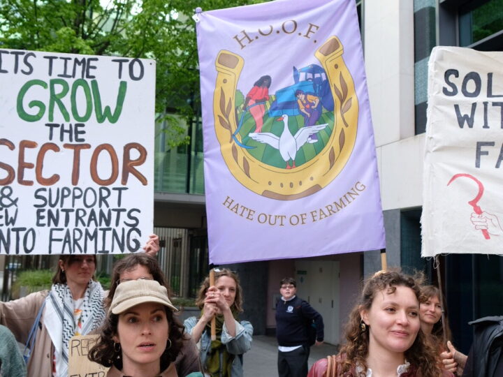 Hate out of Farming: introducing ‘HOOF’, our members’ response to the presence of the far right in farming